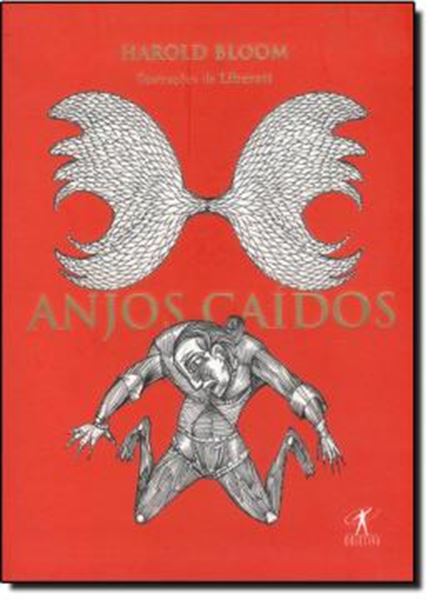 Picture of ANJOS CAIDOS