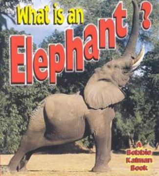 Imagem de WHAT IS AN ELEPHANT?