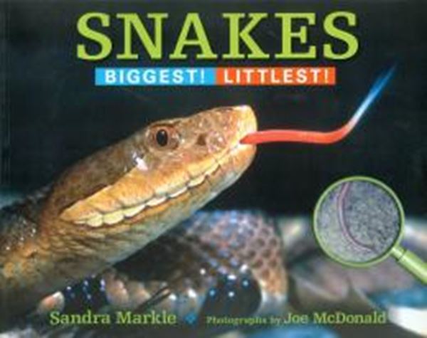 Picture of SNAKES