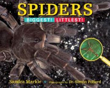 Imagem de SPIDERS 