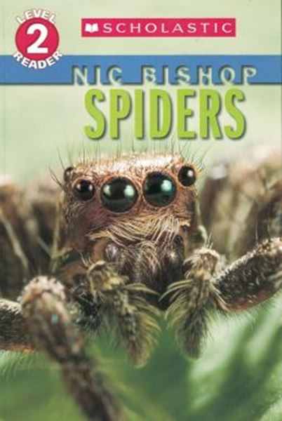 Picture of SPIDERS - LEVEL 2