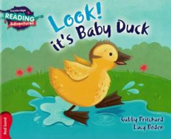 Picture of LOOK! IT´S A BABY DUCK