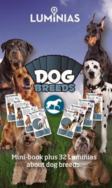 Picture of LUMINIAS - DOG BREEDS