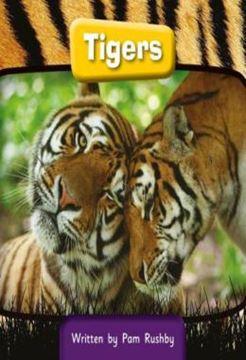 Imagem de TIGERS