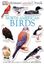 Imagem de ULTIMATE STICKER BOOK - NORTH AMERICAN BIRDS