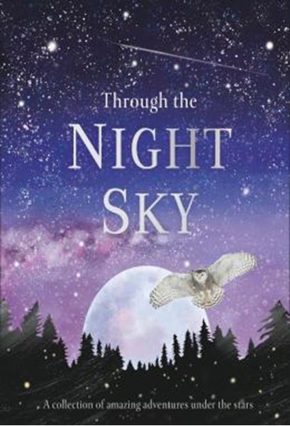 Picture of THROUGH THE NIGHT SKY - A COLLECTION OF AMAZING ADVENTURES UNDER THE STARS