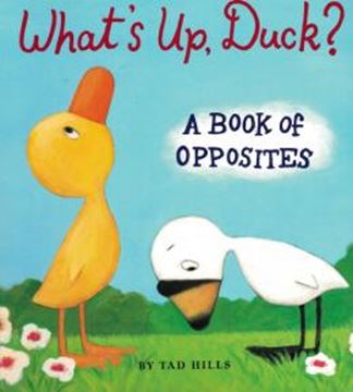 Imagem de WHATS UP, DUCK?