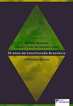 Imagem de 30 ANOS DA CONSTITUICAO BRASILEIRA - REFLEXOES ATUAIS