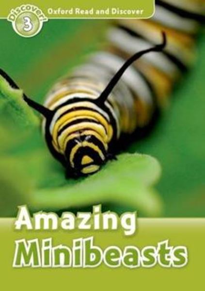 Picture of AMAZING MINIBEASTS ORD (3)