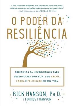 Imagem de O PODER DA RESILIENCIA