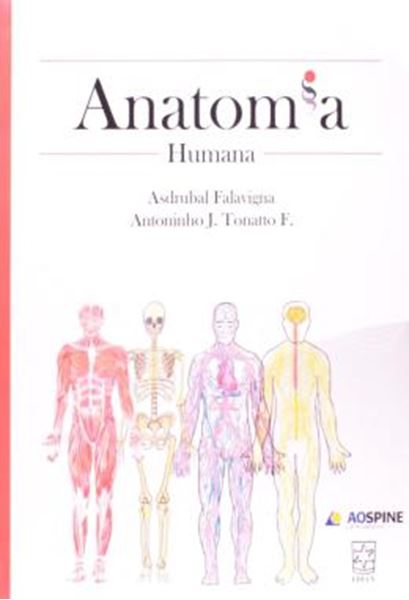 Picture of ANATOMIA HUMANA