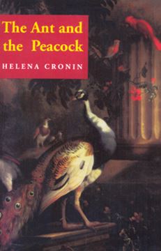 Imagem de ANT AND THE PEACOCK, THE