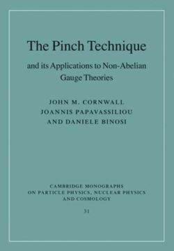 Imagem de THE PINCH TECHNIQUE AND ITS APPLICATIONS TO NON-ABELIAN GAUGE THEORIES