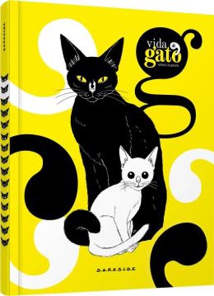 Picture of VIDA DE GATO