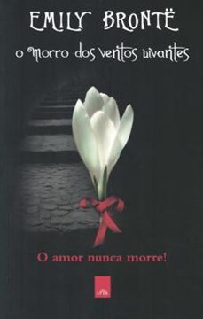 Imagem de O MORRO DOS VENTOS UIVANTES - ESPECIAL