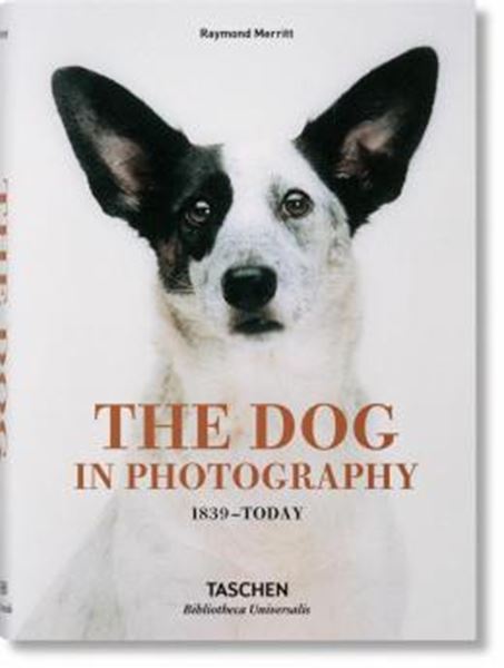 Picture of THE DOG IN PHOTOGRAPHY 1839 - TODAY