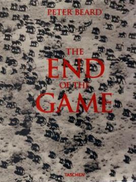 Imagem de THE END OF THE GAME