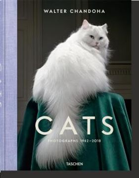 Imagem de CATS - PHOTOGRAPHS 1942-2018
