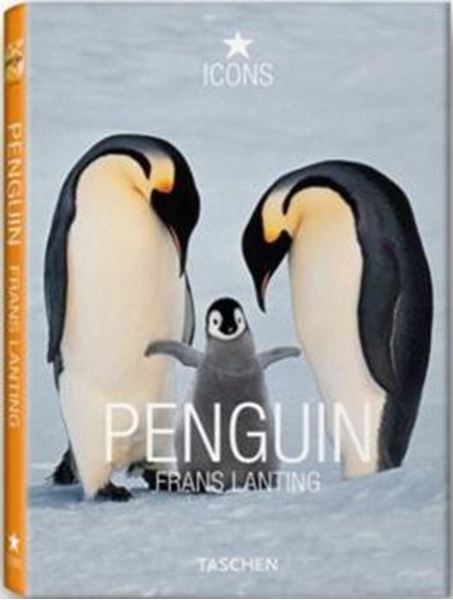 Picture of PENGUINS