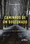 Imagem de CAMINHOS DE UM DOUTORADO: RELATOS DE UMA EXPERIENCIA VIVIDA
