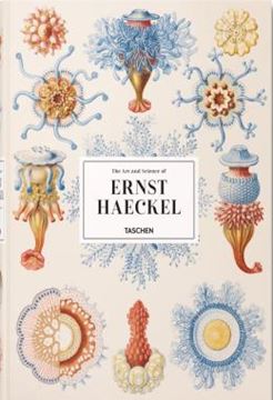 Imagem de THE ART AND SCIENCE OF ERNST HAECKEL