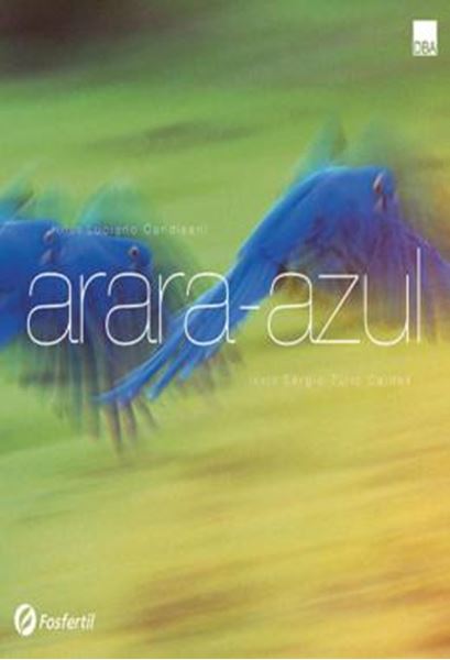 Picture of ARARA AZUL