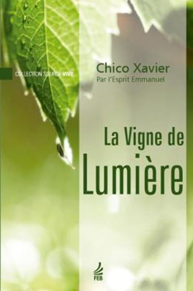 Picture of LA VIGNE DE LUMIERE (VINHA DE LUZ - FRANCES)