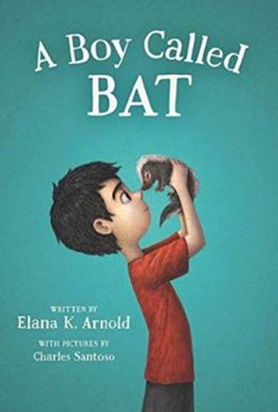 Picture of A BOY CALLED BAT