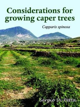 Imagem de CONSIDERATIONS FOR GROWING CAPER TREES